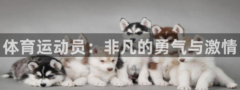 vsport体育官网下载平台是正规平台吗知乎:体育运动员:非