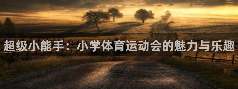 vsport体育官方正版app娱乐下载:超级小能手:小学体育