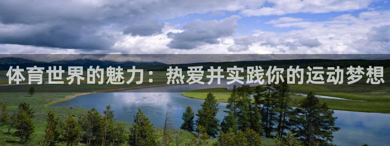 vsport体育官网下载是干嘛的公司:体育世界的魅力:热爱并