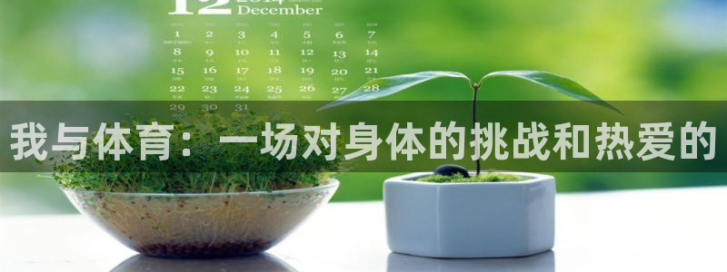 海南vsport体育官网下载:我与体育:一场对身体的挑战和热